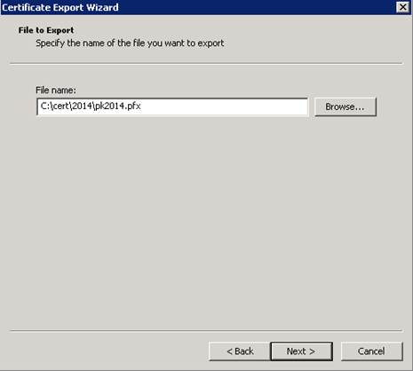 computer setup wizard
