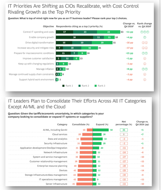 AI Priorities and Shifts