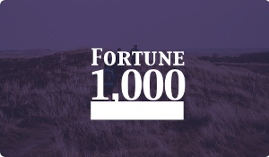 fortune 1,000