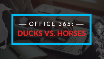 Office 365 Ducks vs Horses banner